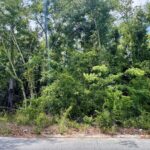 Property photo for land for sale in Hamilton County Florida