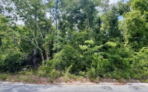 Property photo for land for sale in Hamilton County Florida