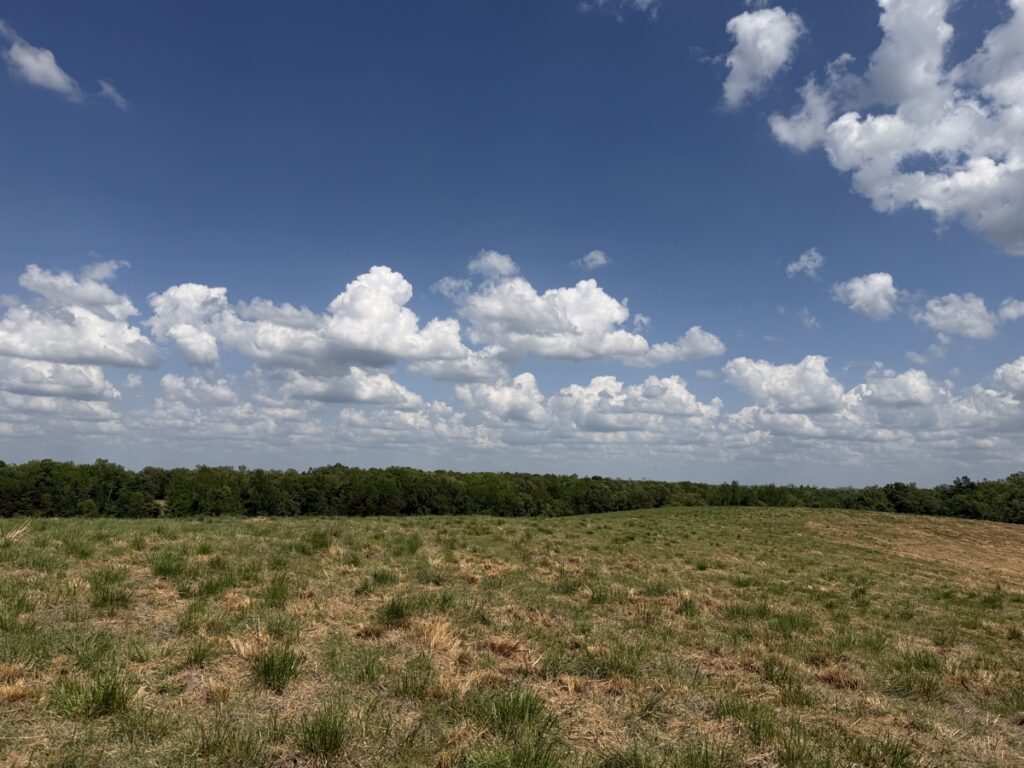 c8db8c4a-b2c4-460a-a66b-a3b3ef038aa6.jpg