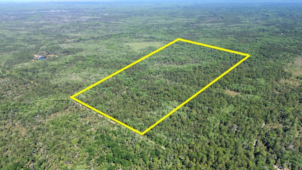 Property photo for land for sale in Levy County Florida