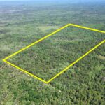 Property photo for land for sale in Levy County Florida