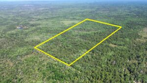 Property photo for land for sale in Levy County Florida