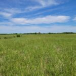 Property photo for land for sale in Red River County Texas