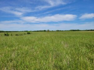 Property photo for land for sale in Red River County Texas