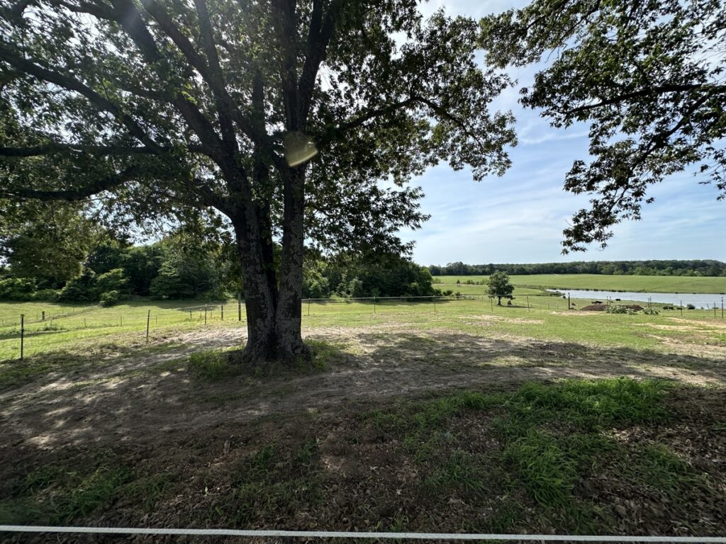 ca085918-acec-4c24-a07e-f6c432ec3514.jpg