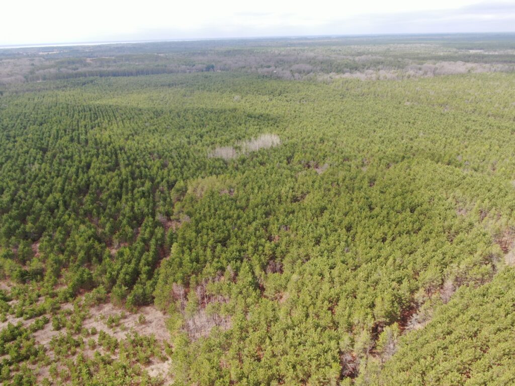 ca45c7d8-760e-4df5-b269-57de91486b71.jpg