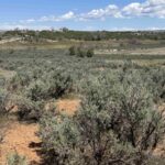 Property photo for land for sale in Montezuma County Colorado
