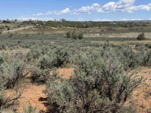 Property photo for land for sale in Montezuma County Colorado