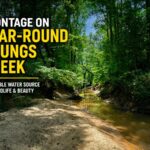 Property photo for land for sale in Prentiss County Mississippi