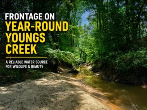 Property photo for land for sale in Prentiss County Mississippi