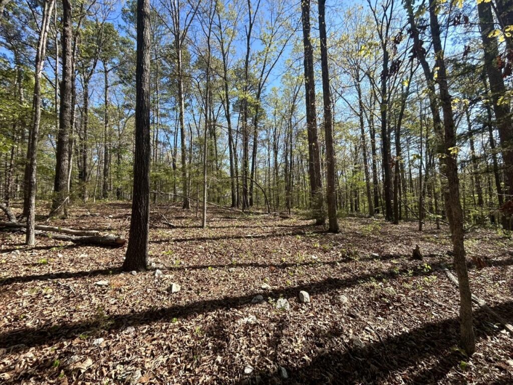 Property photo for land for sale in Stone County Arkansas