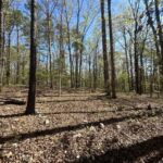 Property photo for land for sale in Stone County Arkansas