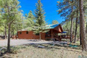 Property photo for land for sale in Rio Arriba County New Mexico