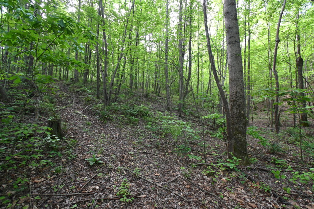 d01911ea-e618-43aa-afe6-b76c77181d44.jpg