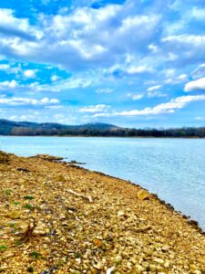 Property photo for land for sale in Carroll County Arkansas