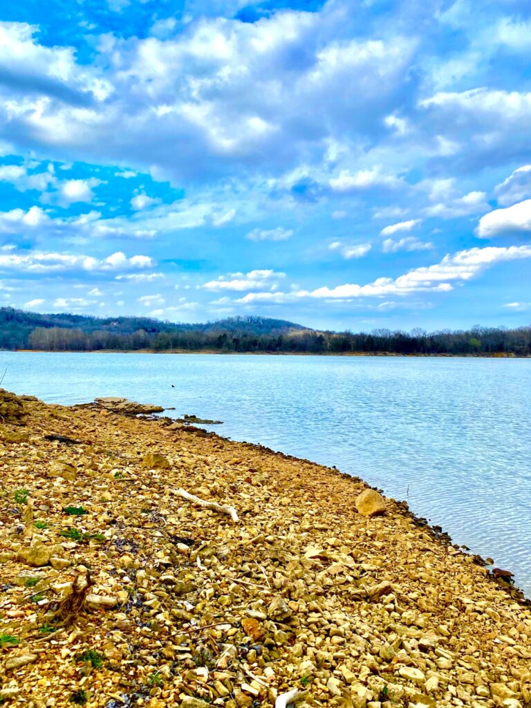 Property photo for land for sale in Carroll County Arkansas