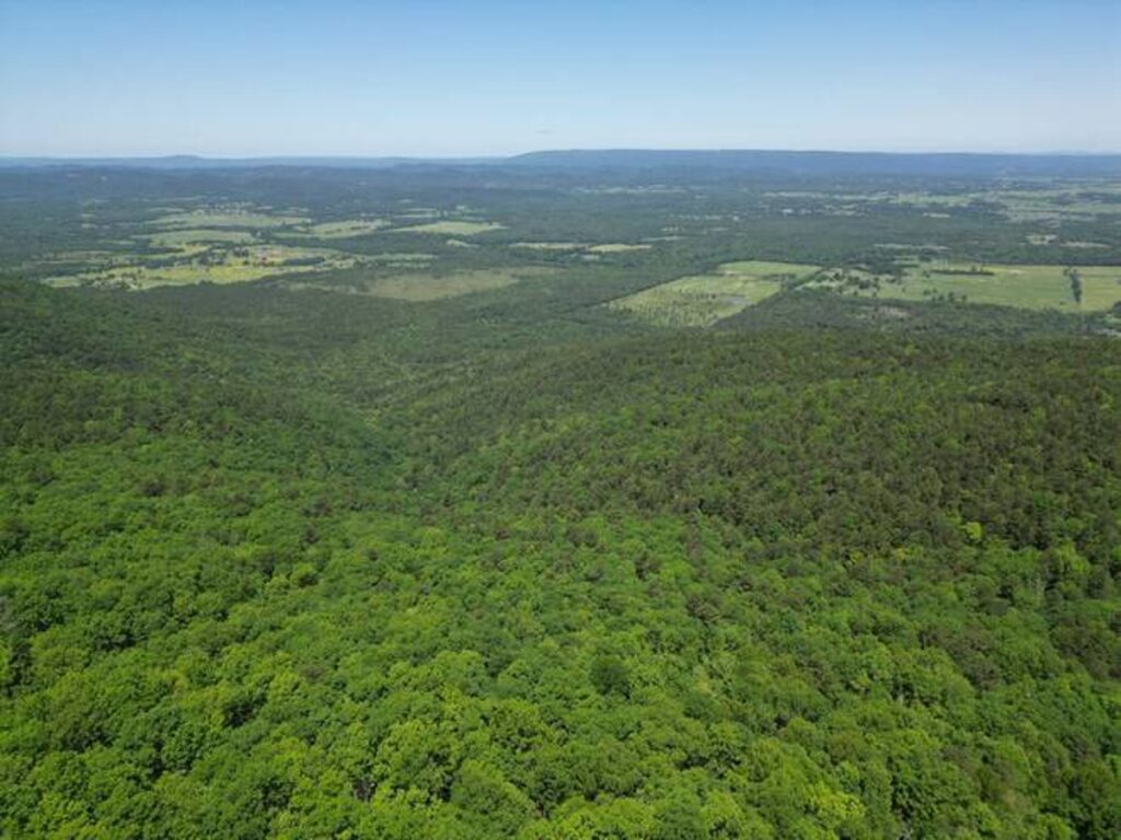 Property photo for land for sale in Pushmataha County Oklahoma