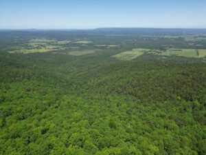 Property photo for land for sale in Pushmataha County Oklahoma