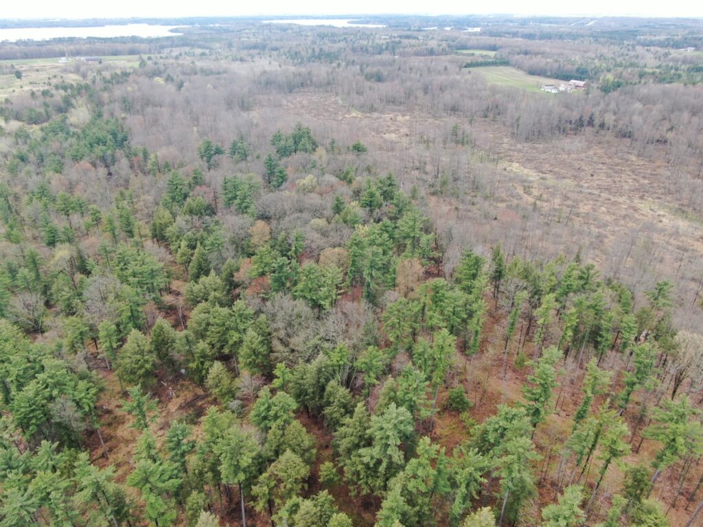 Property photo for land for sale in Portage County Wisconsin