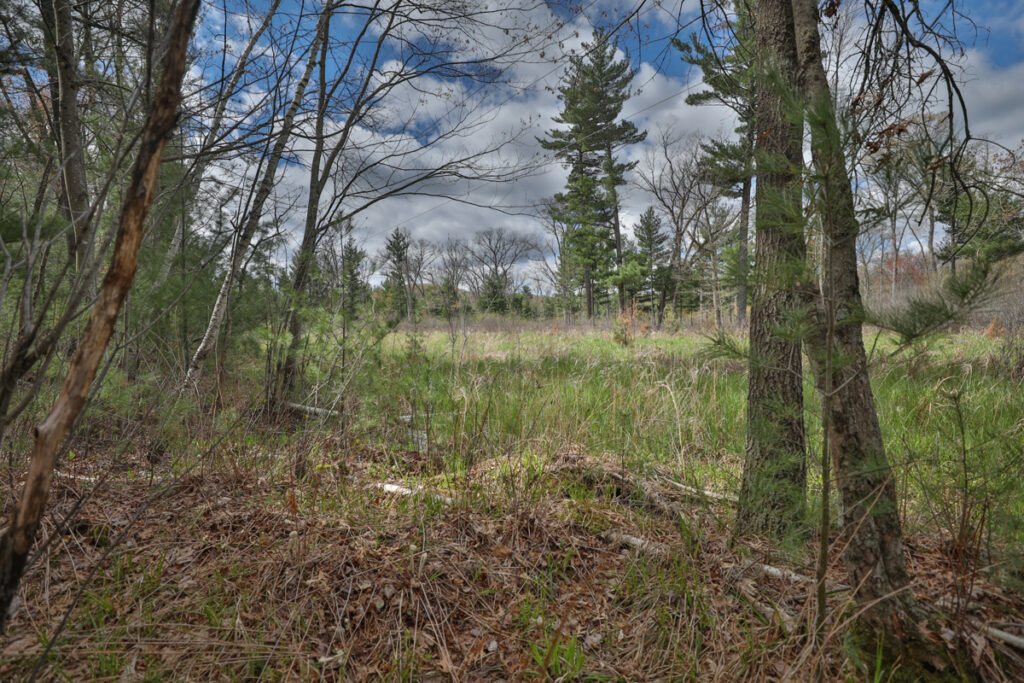 d726955d-675b-43e7-b363-1836acd585a5.jpg