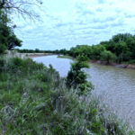 Property photo for land for sale in Cotton County Oklahoma