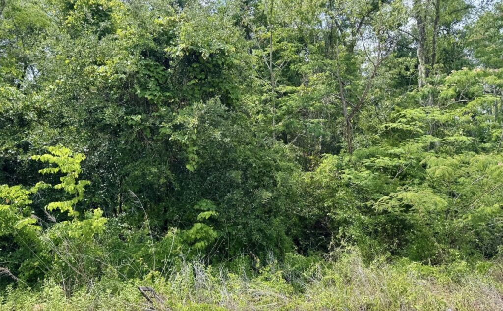 Property photo for land for sale in Hamilton County Florida