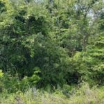 Property photo for land for sale in Hamilton County Florida