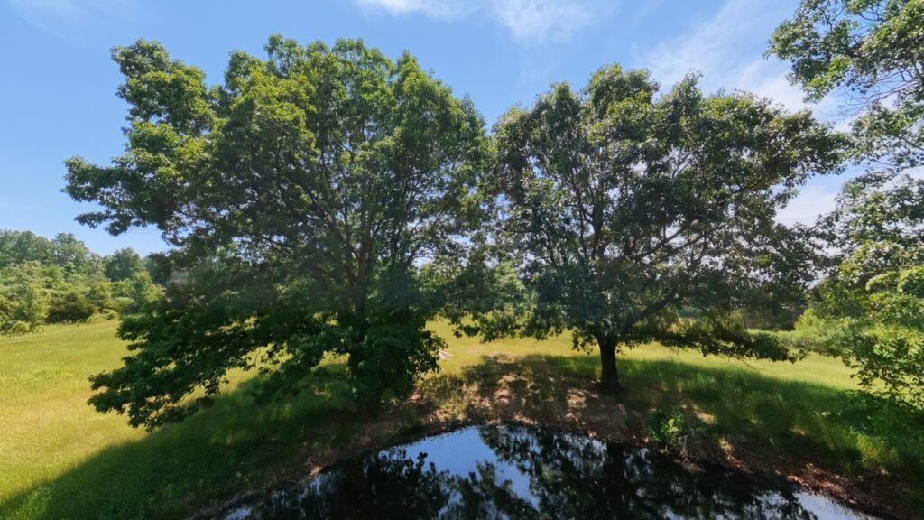 dd0cb3e5-5d65-46a2-82e5-6a607d9d8f9f.jpg