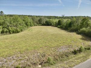 Property photo for land for sale in Covington County Alabama