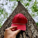 Property photo for land for sale in Tippah County Mississippi