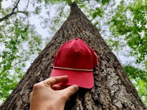 Property photo for land for sale in Tippah County Mississippi