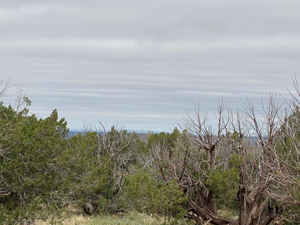 df23a0f5-4c8f-4f2f-a20c-4eca94da627c.jpg