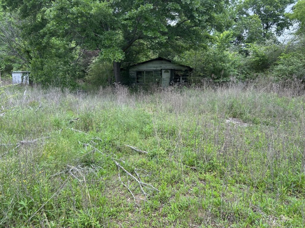 df40d625-9062-42ac-b8c1-3aa2bd397936.jpg