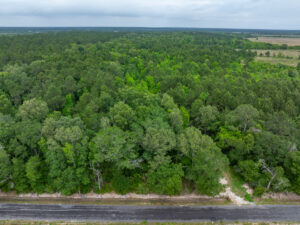 Property photo for land for sale in Jefferson Davis County Louisiana