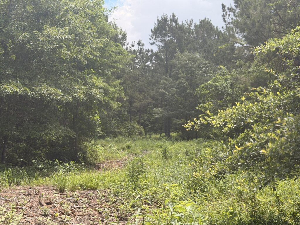 dfd8126d-a1b6-4e84-85f1-8f5167917f42.jpg