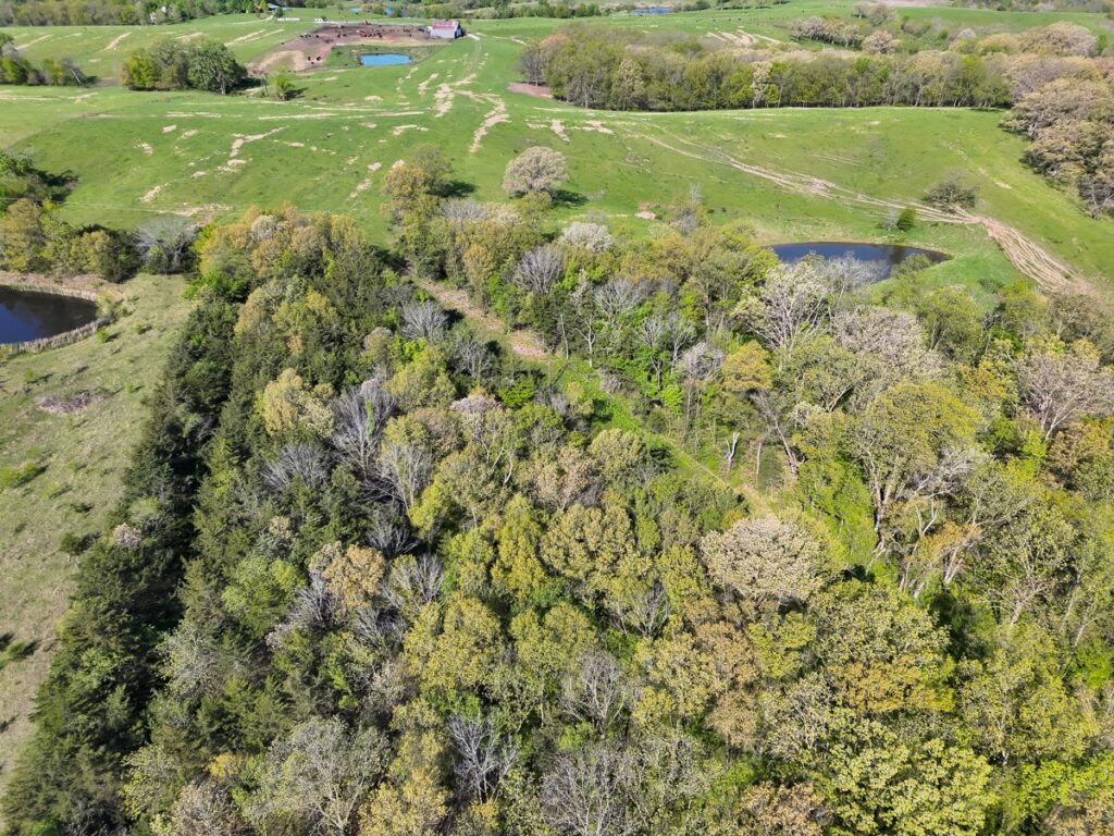 e123af41-d66f-4fa2-a789-969002121c67.jpg