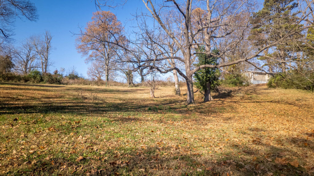 e2436537-d719-4184-a01d-5e997f2d2521.jpg