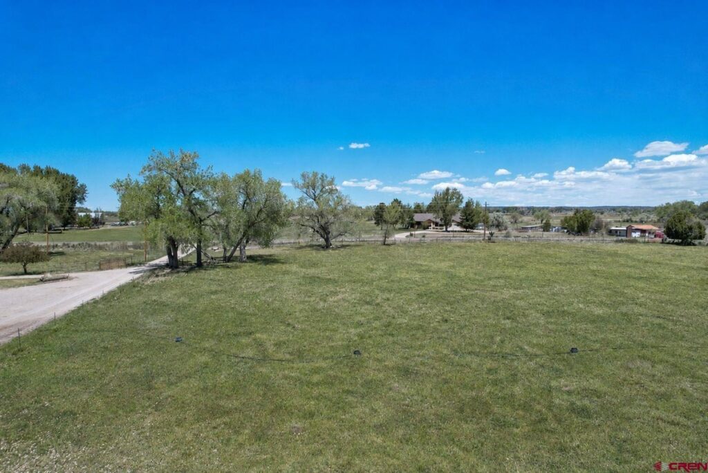 e3dbf613-40ec-45fe-bc2c-014d7554763d.jpg
