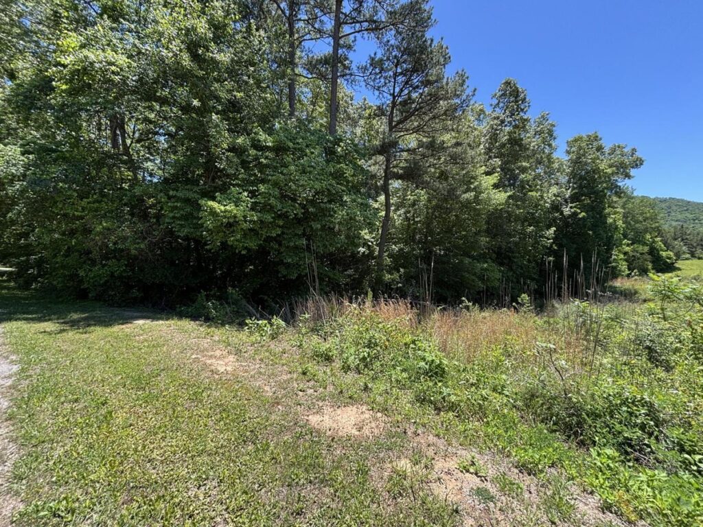 Property photo for land for sale in Marion County Tennessee