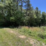 Property photo for land for sale in Marion County Tennessee