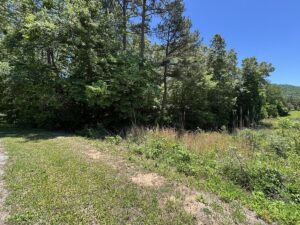 Property photo for land for sale in Marion County Tennessee
