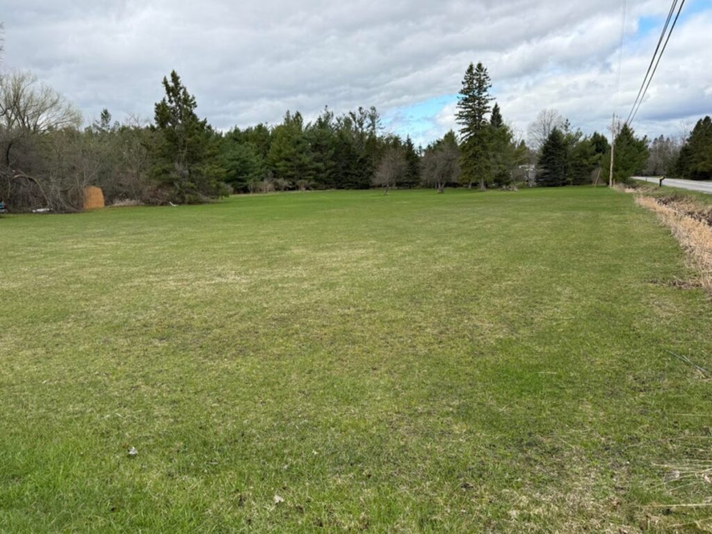 Property photo for land for sale in Alpena County Michigan