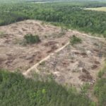 Property photo for land for sale in Calhoun County Arkansas