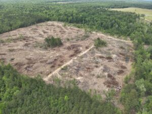 Property photo for land for sale in Calhoun County Arkansas