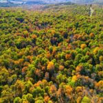 Property photo for land for sale in Ozark County Missouri