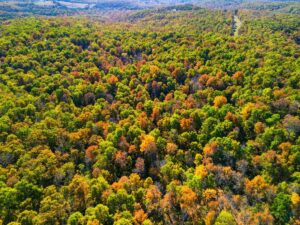 Property photo for land for sale in Ozark County Missouri