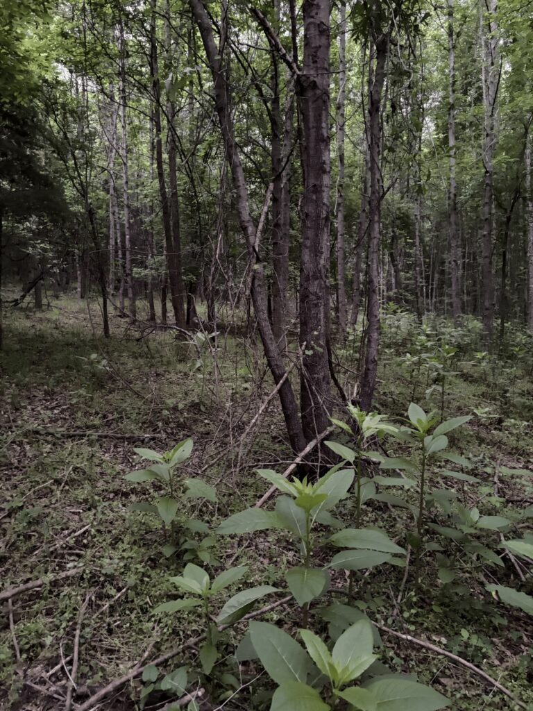 e70953aa-80ba-4f28-a6cf-235dc91418db.jpg