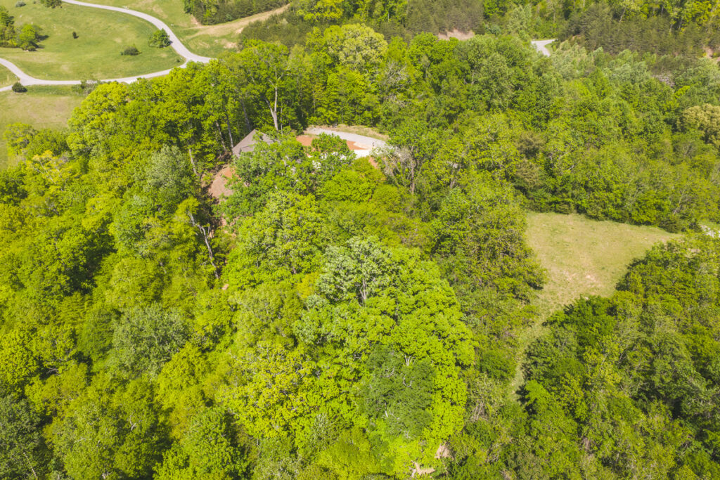 Property photo for land for sale in Union County Tennessee