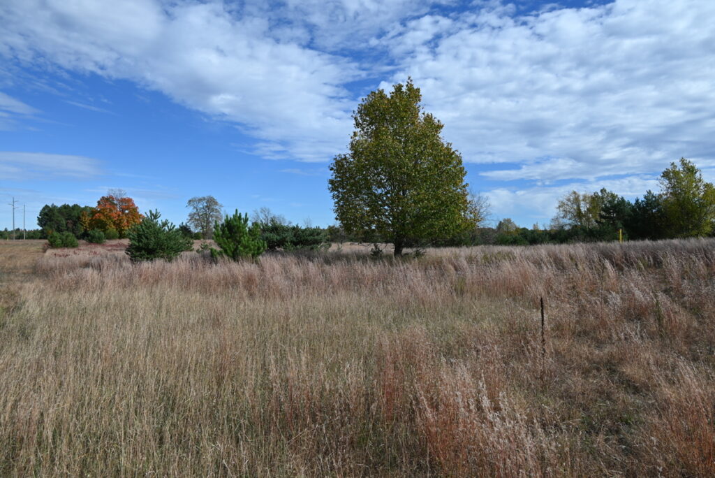 e7b96320-2fcd-4480-9f86-6ae29da21a28.jpg