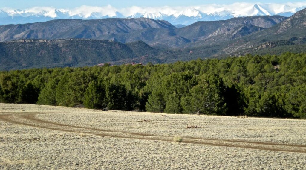 Property photo for land for sale in Fremont County Colorado